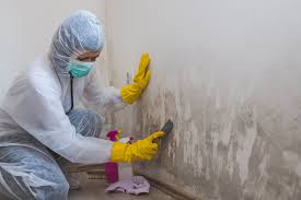 Best Residential Mold Inspection & Testing  in Moscow, PA